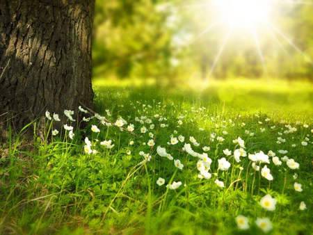 描写春天的优美诗句