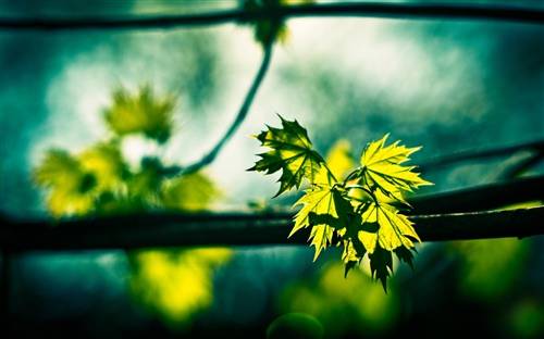 英魂之刃古诗鉴赏