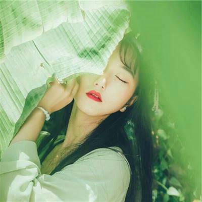 题榴花朱熹古诗意思