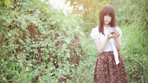 描写雨声的诗句