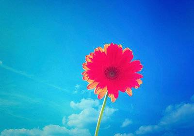 ������÷��ʫ��