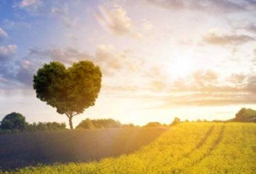 滕王亭子导游词