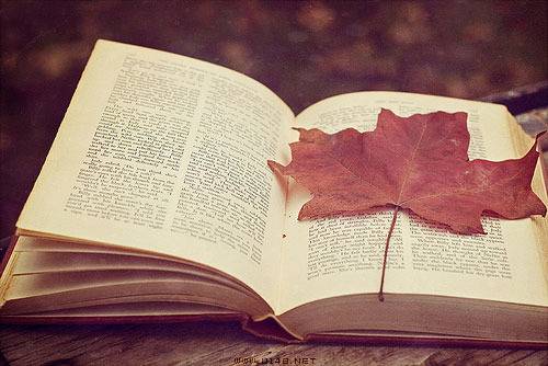 秋天的英文诗句