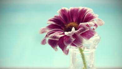 关于写山的诗句