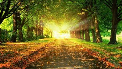 琴棋书画的诗句