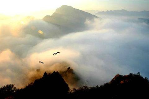 天涯若比邻古诗