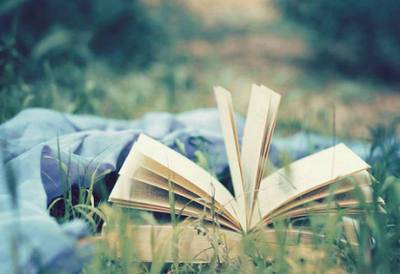 夏日绝句的诗句