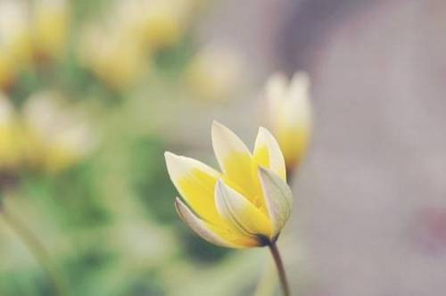 人生成熟的诗句