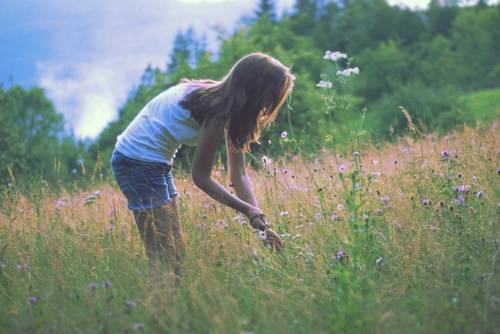 形容夜景灯火的诗句