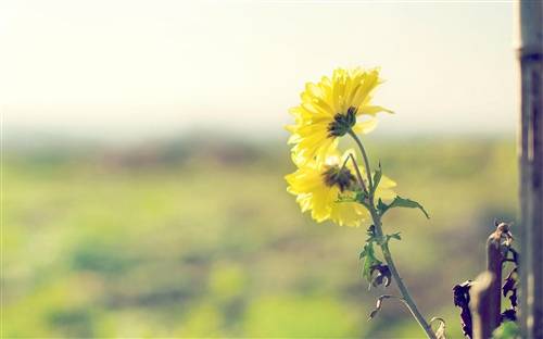 前进的道路上的诗句