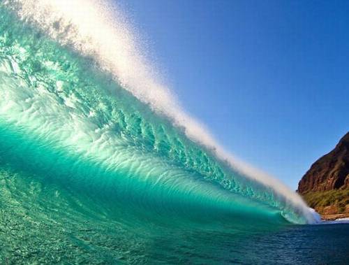 语文必修古诗文默写