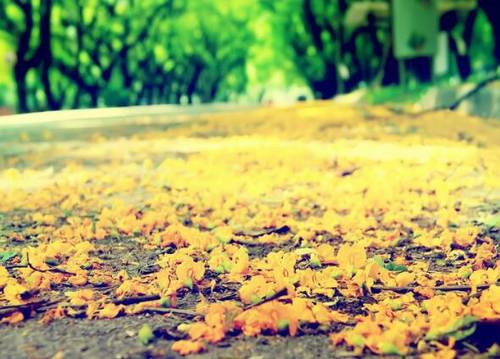 长城导游词七百字