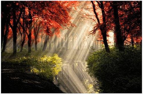 描写秋风的诗句常见