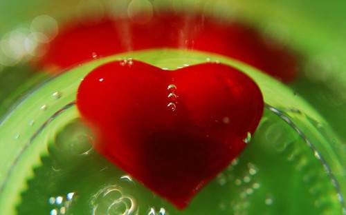 小学古诗读后感