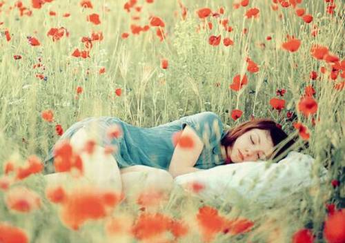 可以做小说题目的诗句