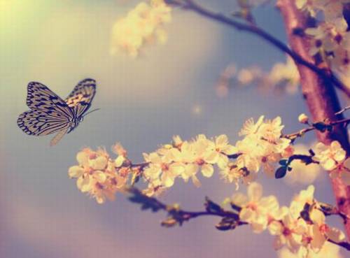 描写月色的唯美的诗句