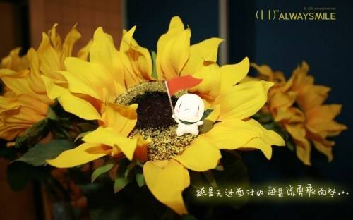 梅兰竹菊的特性和诗句