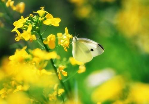 有关山水的句子或诗句