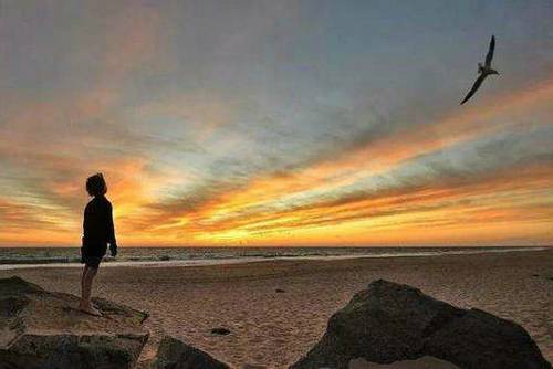 赞颂梅花的诗句