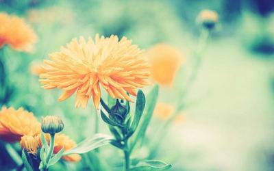 收集在广告中的诗句