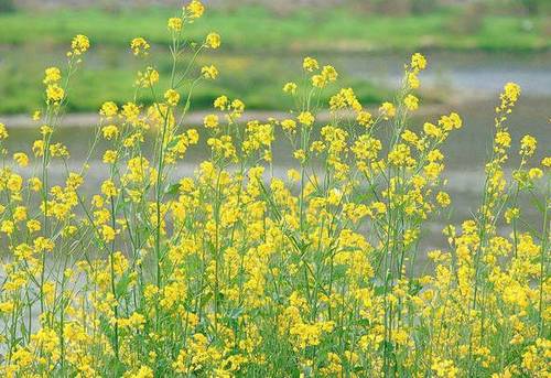 一群人的背影诗句