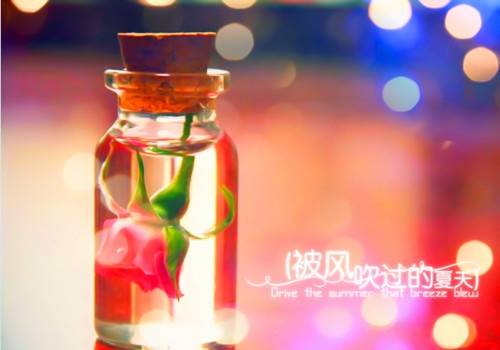 湖畔别墅的诗句