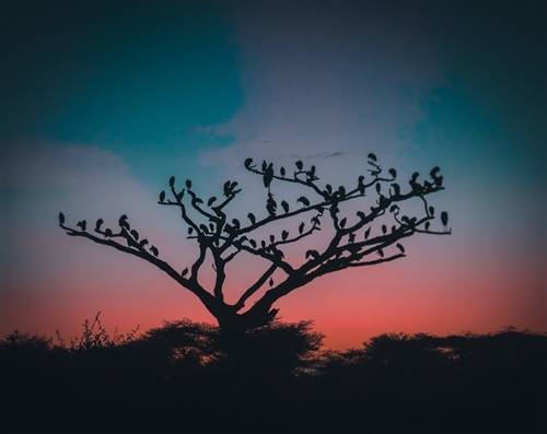 襄阳古城导游词讲解