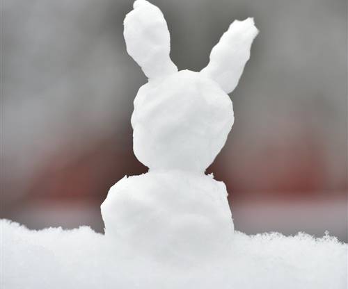 英雄惜英雄的诗句