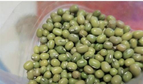 期盼回家的诗句