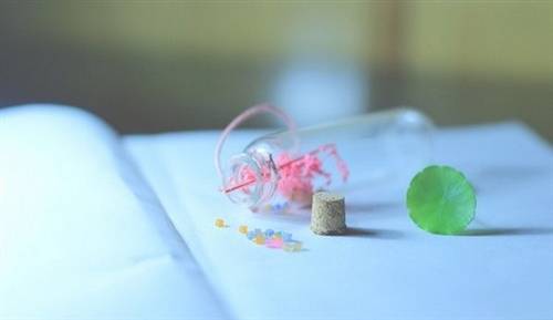 描写夏天花的诗句