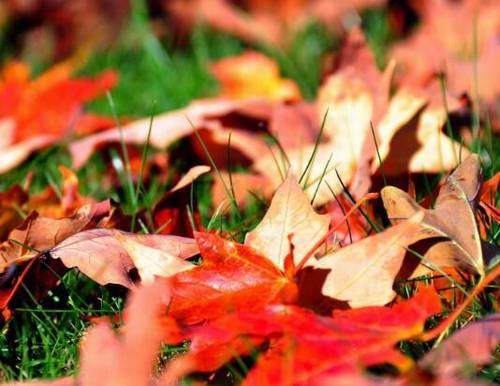 不复少年的诗句