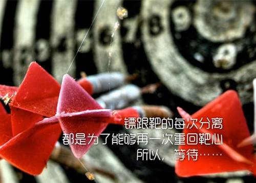 杜甫古诗冬至译文