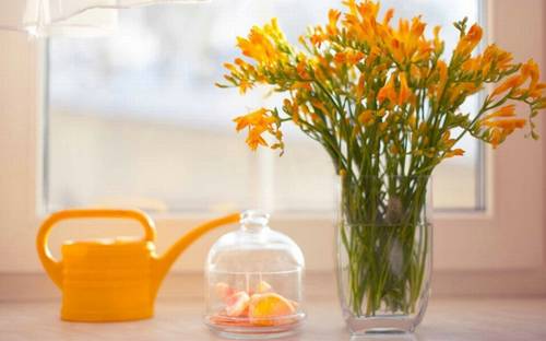 关于春的高雅诗句