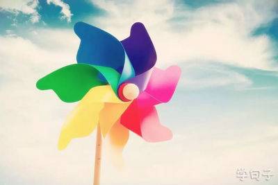 含风雨花草的诗句