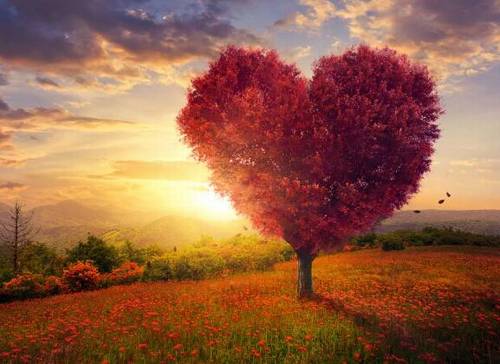 关于夏雨的诗句古诗