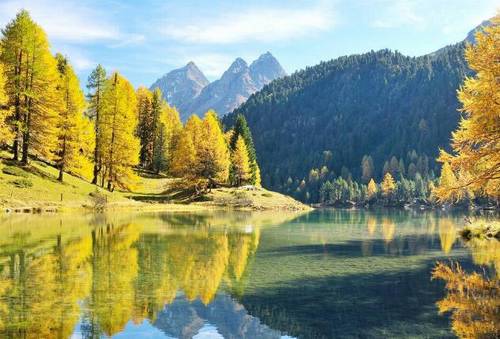 再见是路人诗句