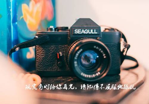 导游词英语有字幕