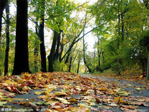 幼儿园春晓古诗教案