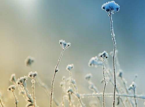 关于雪和扇子的诗句