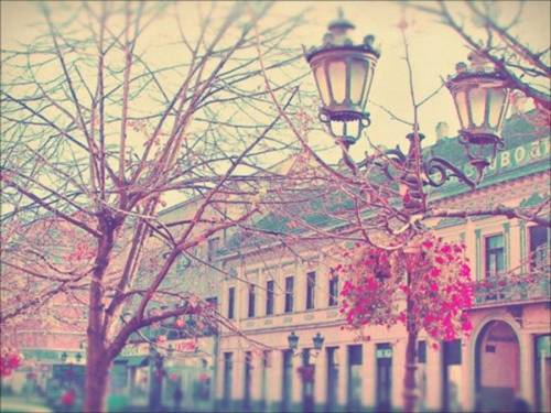 法语简单的导游词