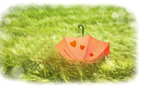 有关燃烧生命的诗句