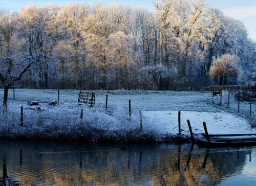 时珍采药为开头的诗句