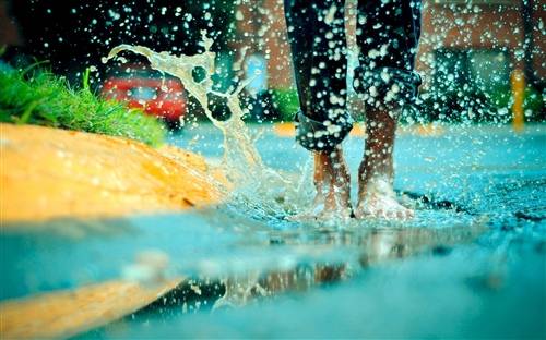 关于岁末的古诗句