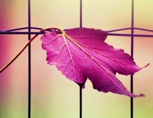 庄稼需要盼太阳的诗句