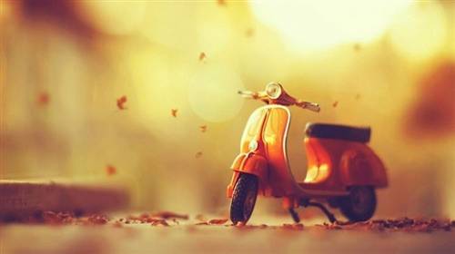 水陆庵的导游词