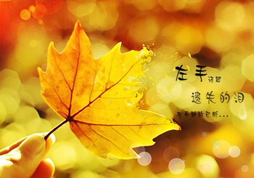 陶渊明诗句景物描写