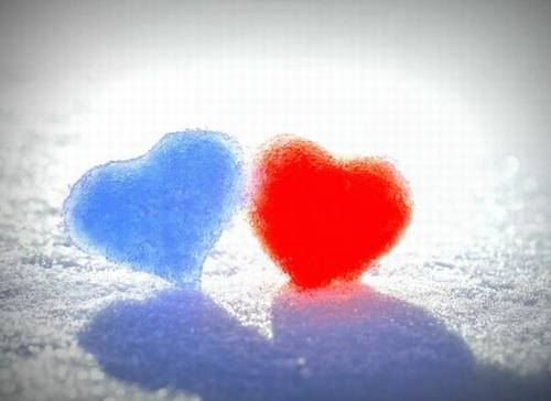 坚持高标准的诗句