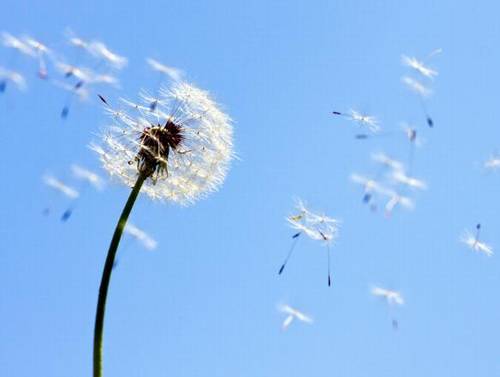 形容父母宅基地的诗句