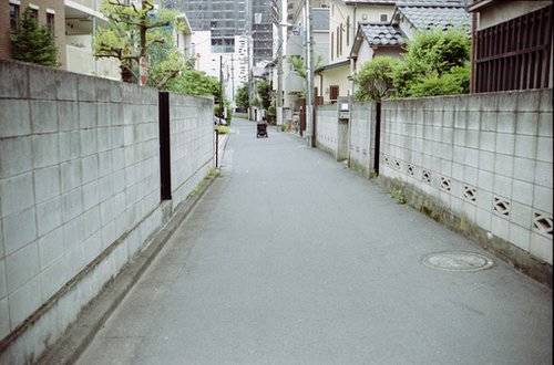 三年级春天的古诗