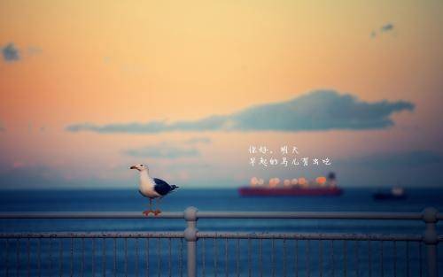 为了改变的诗句